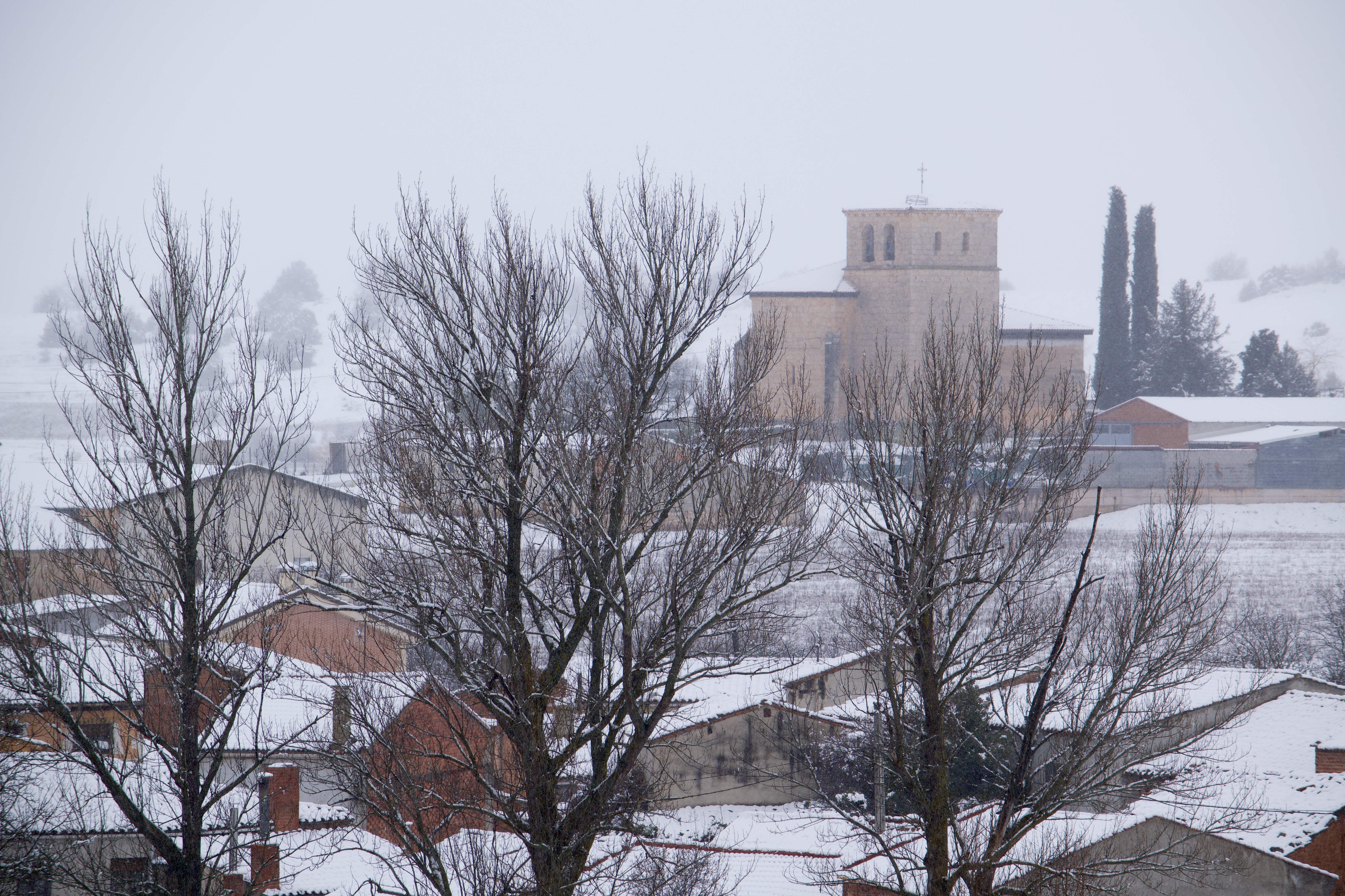 Invierno en Salce