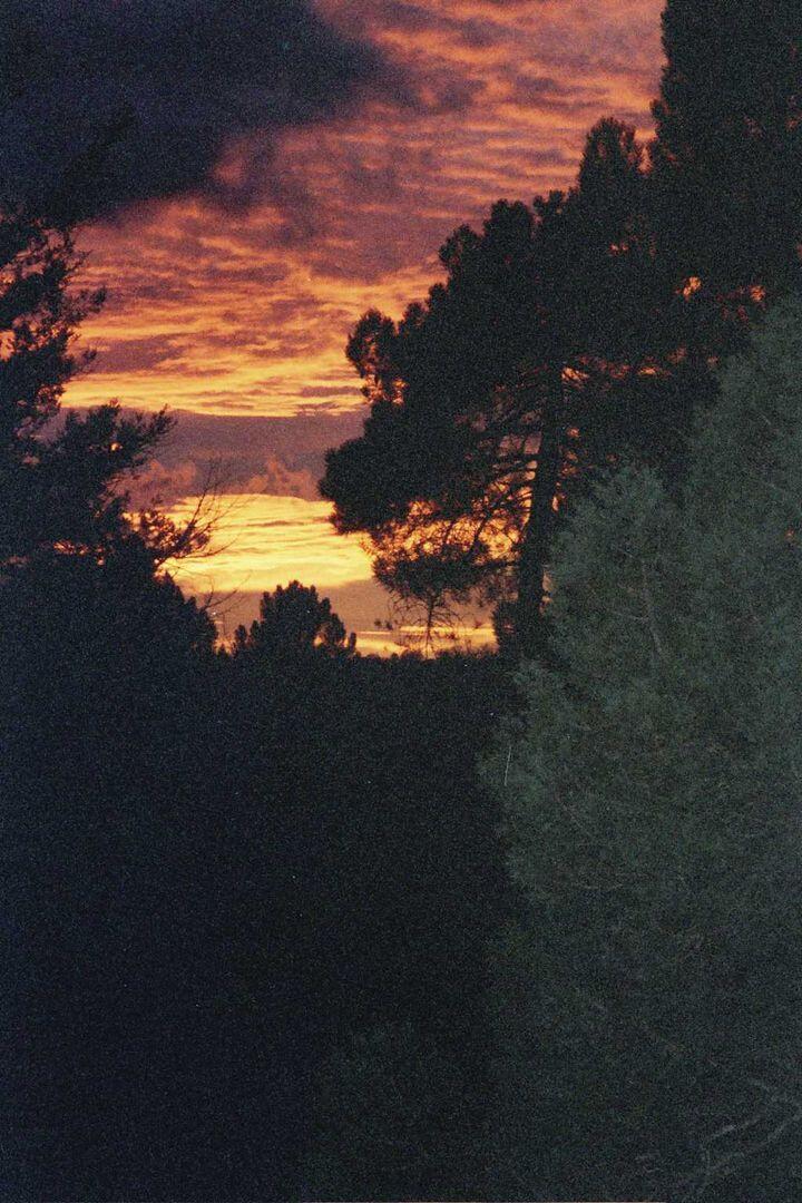 Fotografía de la galería de imágenes con id: 849